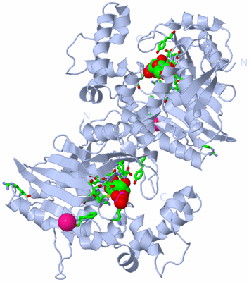 Image Biol. Unit 1 - sites