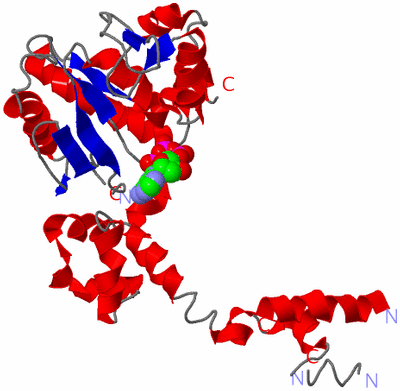 Image Asym./Biol. Unit