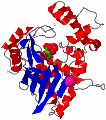 Image Asymmetric Unit