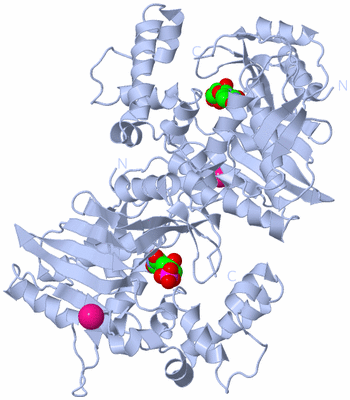 Image Biological Unit 1