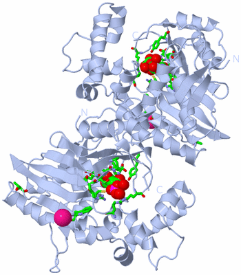 Image Biol. Unit 1 - sites