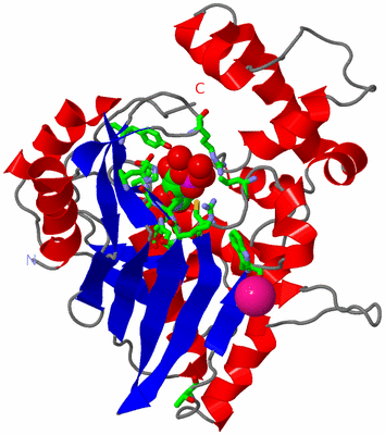 Image Asym. Unit - sites