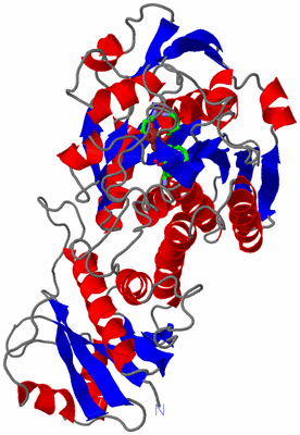 Image Asym. Unit - sites