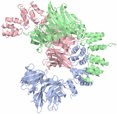 Image Biological Unit 1