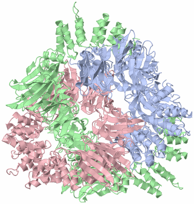 Image Biological Unit 2