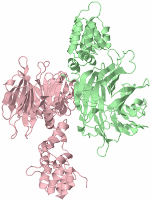 Image Biological Unit 3