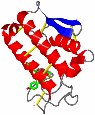Image Asym. Unit - sites