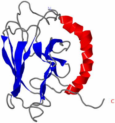 Image NMR Structure - model 1