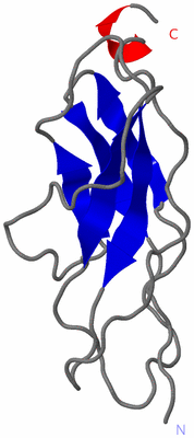 Image NMR Structure - model 1