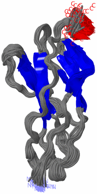 Image NMR Structure - all models