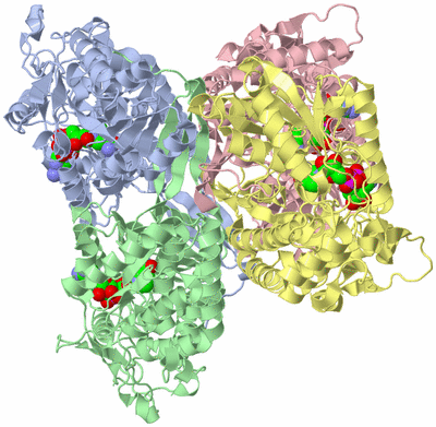 Image Asym./Biol. Unit