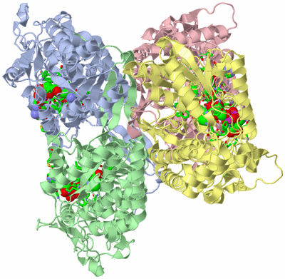 Image Asym./Biol. Unit - sites