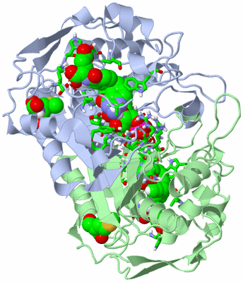 Image Asym./Biol. Unit - sites