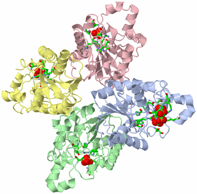 Image Asym./Biol. Unit - sites