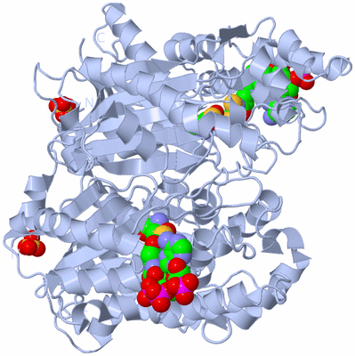 Image Biological Unit 1