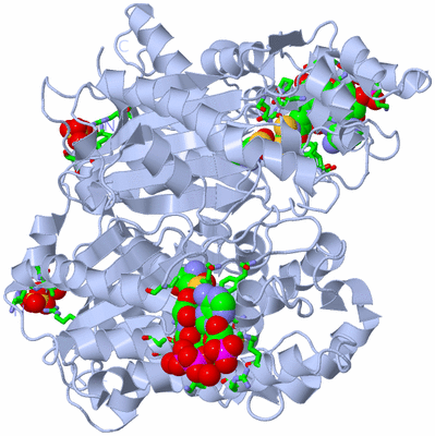 Image Biol. Unit 1 - sites