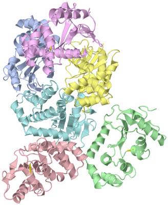 Image Asym./Biol. Unit