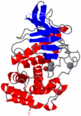 Image Asym./Biol. Unit
