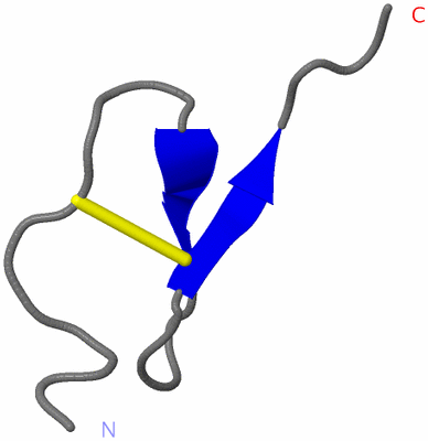 Image NMR Structure - model 1