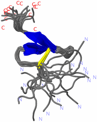 Image NMR Structure - all models