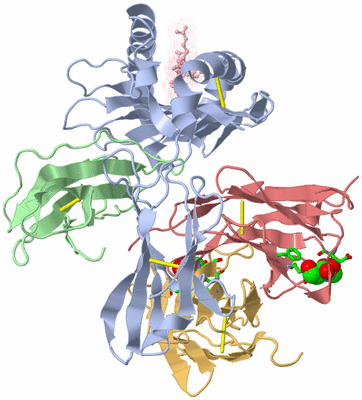 Image Biol. Unit 1 - sites