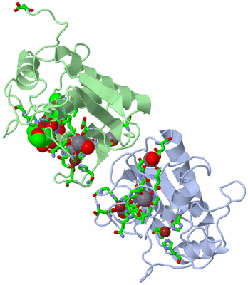 Image Biol. Unit 1 - sites