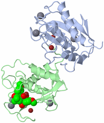 Image Biological Unit 2