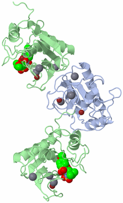 Image Biological Unit 3