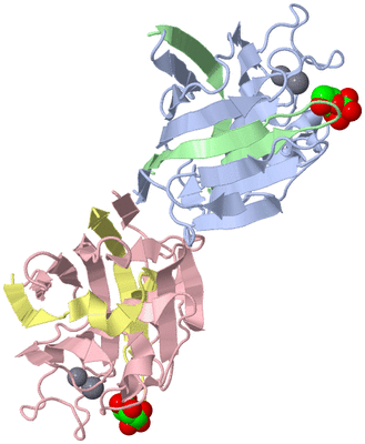 Image Biological Unit 3