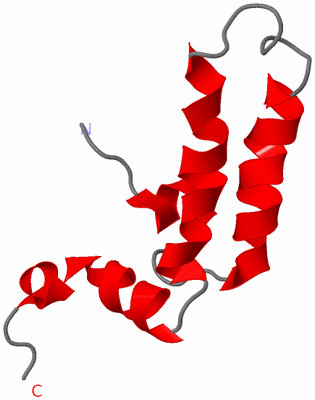 Image NMR Structure - model 1