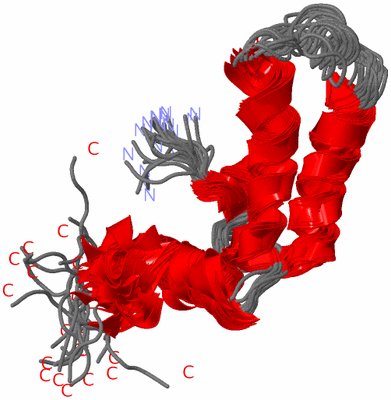 Image NMR Structure - all models