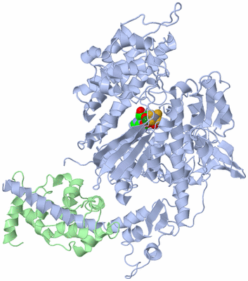 Image Biological Unit 1