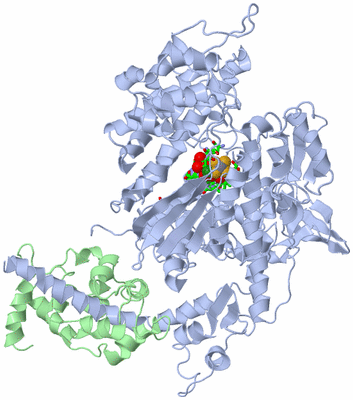 Image Biol. Unit 1 - sites