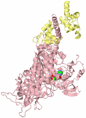 Image Biological Unit 2