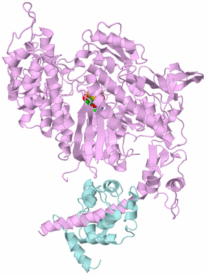 Image Biological Unit 3