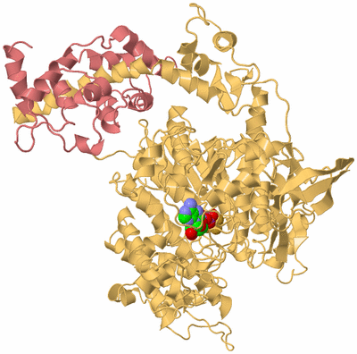 Image Biological Unit 4