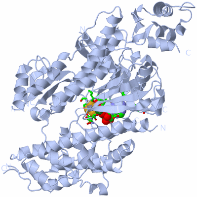 Image Biol. Unit 1 - sites