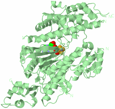 Image Biological Unit 2