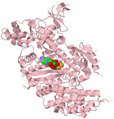 Image Biological Unit 3