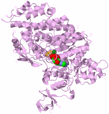 Image Biological Unit 5