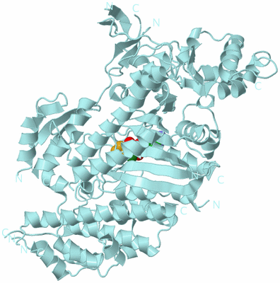 Image Biological Unit 6