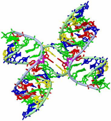 Image Biological Unit 1