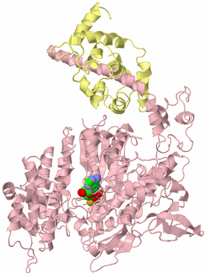 Image Biological Unit 2