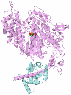 Image Biological Unit 3