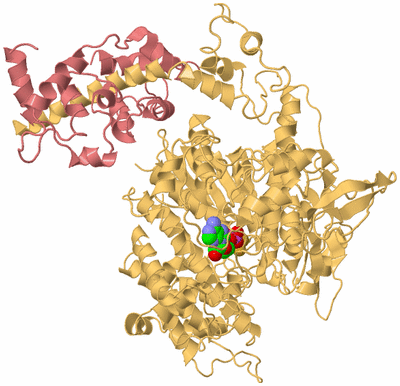 Image Biological Unit 4