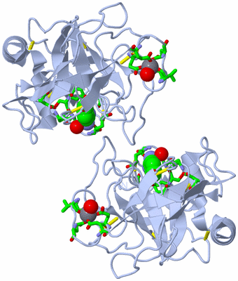 Image Biol. Unit 1 - sites