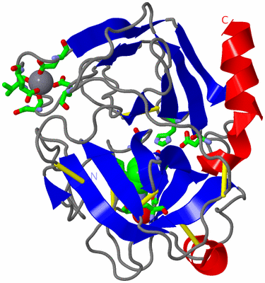 Image Asym. Unit - sites