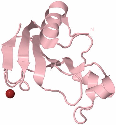 Image Biological Unit 3