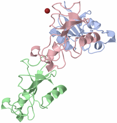 Image Asymmetric Unit