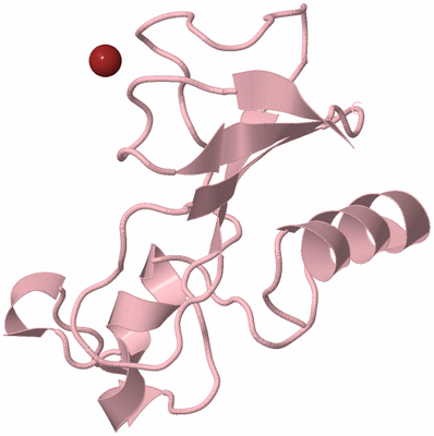 Image Biological Unit 3